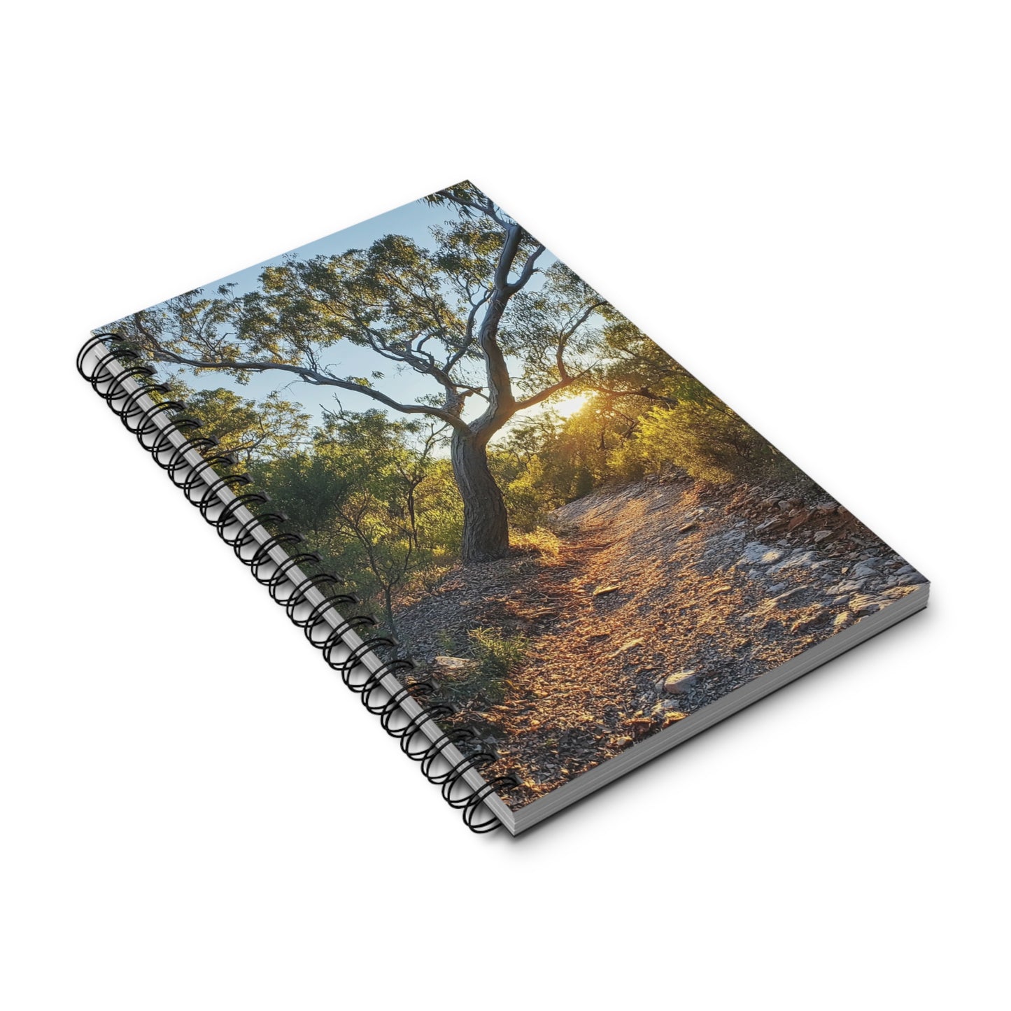 Spiral Journal